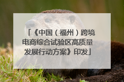 《中国（福州）跨境电商综合试验区高质量发展行动方案》印发