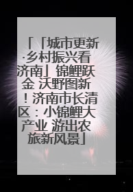 「城市更新·乡村振兴看济南」锦鲤跃金 沃野图新！济南市长清区：小锦鲤大产业 游出农旅新风景