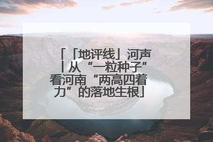 「地评线」河声丨从“一粒种子”看河南“两高四着力”的落地生根