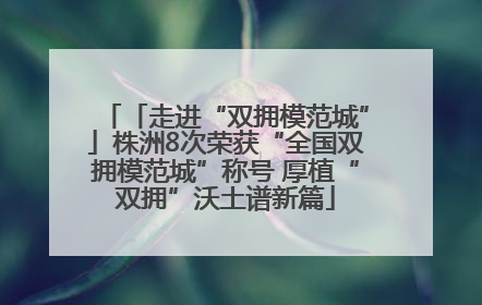 「走进“双拥模范城”」株洲8次荣获“全国双拥模范城”称号 厚植“双拥”沃土谱新篇