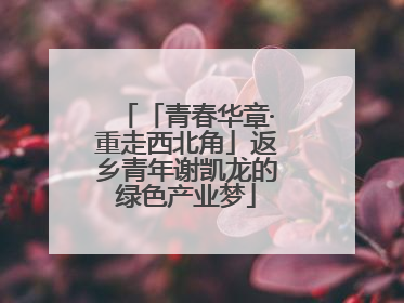「青春华章·重走西北角」返乡青年谢凯龙的绿色产业梦