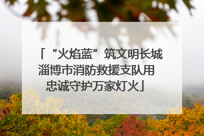 “火焰蓝”筑文明长城 淄博市消防救援支队用忠诚守护万家灯火