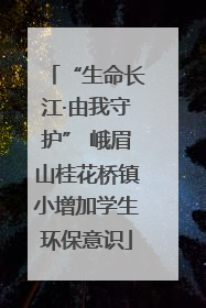 “生命长江·由我守护” 峨眉山桂花桥镇小增加学生环保意识
