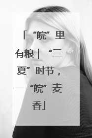 “皖”里有粮｜“三夏”时节，一“皖”麦香