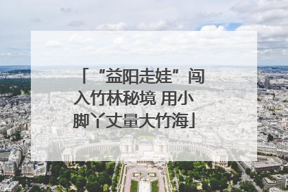“益阳走娃”闯入竹林秘境 用小脚丫丈量大竹海