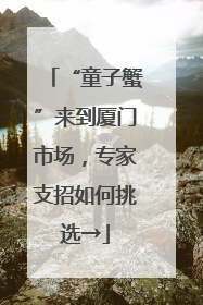 “童子蟹”来到厦门市场，专家支招如何挑选→