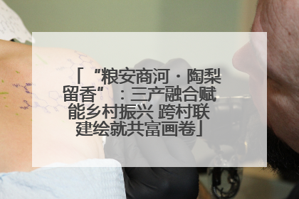 “粮安商河・陶梨留香”：三产融合赋能乡村振兴 跨村联建绘就共富画卷