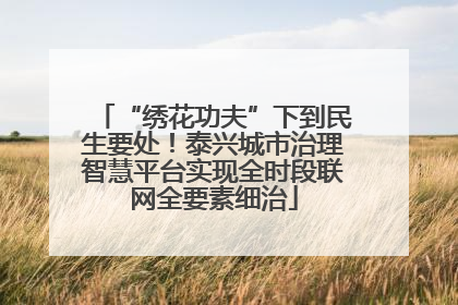 “绣花功夫”下到民生要处！泰兴城市治理智慧平台实现全时段联网全要素细治