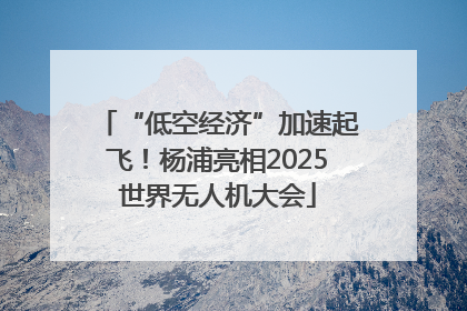 “低空经济”加速起飞！杨浦亮相2025世界无人机大会