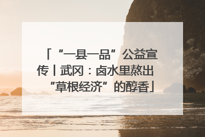 “一县一品”公益宣传丨武冈：卤水里熬出“草根经济”的醇香