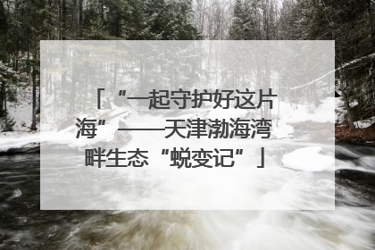 “一起守护好这片海”——天津渤海湾畔生态“蜕变记”