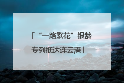 “一路繁花”银龄专列抵达连云港