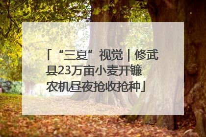 “三夏”视觉｜修武县23万亩小麦开镰 农机昼夜抢收抢种