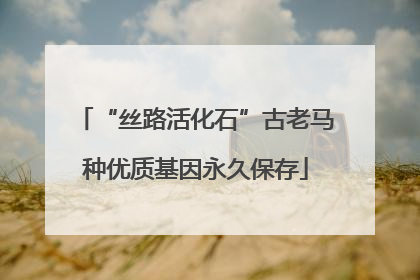 “丝路活化石”古老马种优质基因永久保存