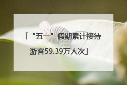 “五一”假期累计接待游客59.39万人次