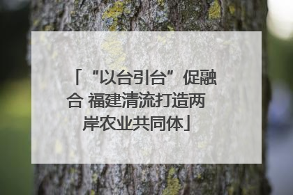 “以台引台”促融合 福建清流打造两岸农业共同体