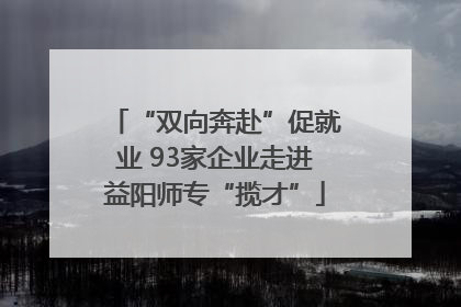 “双向奔赴”促就业 93家企业走进益阳师专“揽才”