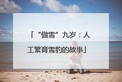 “傲雪”九岁：人工繁育雪豹的故事