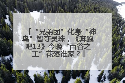 “兄弟团”化身“神鸟”智夺灵珠，《奔跑吧13》今晚“百谷之王”花落谁家？
