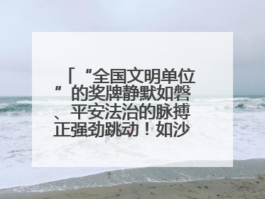“全国文明单位”的奖牌静默如磐、平安法治的脉搏正强劲跳动！如沙漏翻转，他们开启了全新的计时