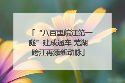 “八百里皖江第一隧”建成通车 芜湖跨江再添新动脉