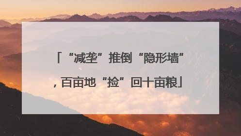 “减垄”推倒“隐形墙”，百亩地“捡”回十亩粮