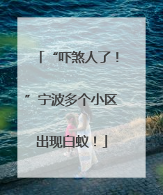 “吓煞人了！”宁波多个小区出现白蚁！