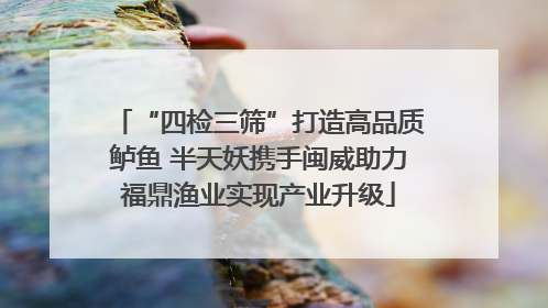 “四检三筛”打造高品质鲈鱼 半天妖携手闽威助力福鼎渔业实现产业升级