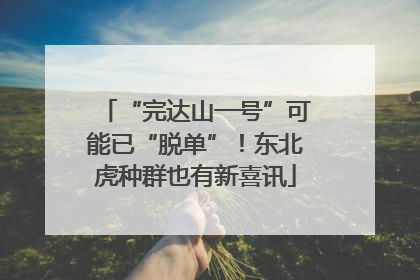 “完达山一号”可能已“脱单”！东北虎种群也有新喜讯