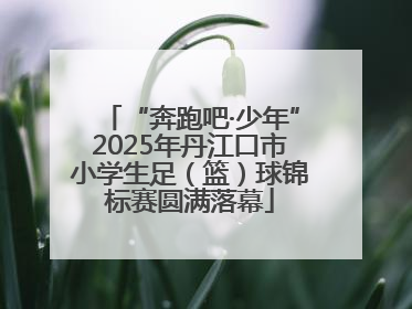 “奔跑吧·少年”2025年丹江口市小学生足（篮）球锦标赛圆满落幕