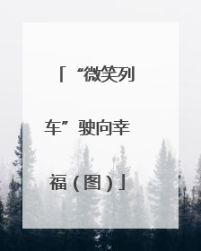 “微笑列车”驶向幸福（图）
