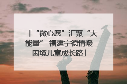 “微心愿”汇聚“大能量” 福建宁德情暖困境儿童成长路