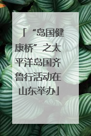 “岛国健康桥”之太平洋岛国齐鲁行活动在山东举办