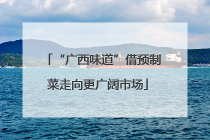 “广西味道”借预制菜走向更广阔市场
