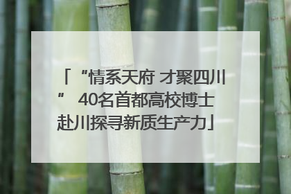 “情系天府 才聚四川” 40名首都高校博士赴川探寻新质生产力