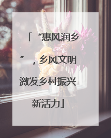 “惠风润乡”，乡风文明激发乡村振兴新活力