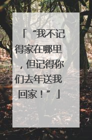 “我不记得家在哪里，但记得你们去年送我回家！”