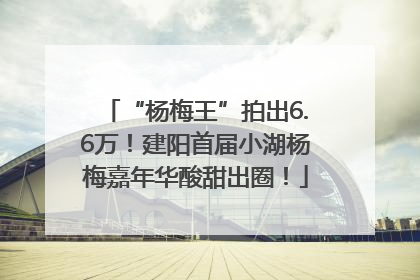 “杨梅王”拍出6.6万！建阳首届小湖杨梅嘉年华酸甜出圈！