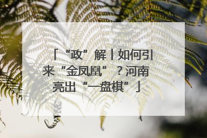 “政”解丨如何引来“金凤凰”？河南亮出“一盘棋”