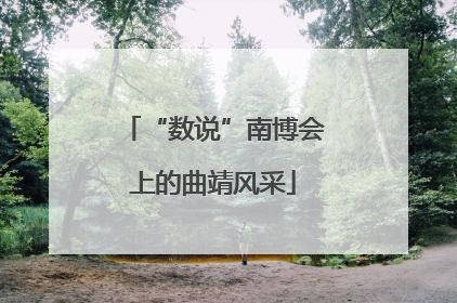“数说”南博会上的曲靖风采