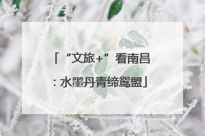 “文旅+”看南昌：水墨丹青缔鸳盟