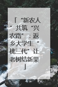 “新农人”共筑“兴农路”：返乡大学生“桃三代”让老树结新果