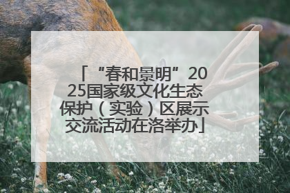 “春和景明”2025国家级文化生态保护（实验）区展示交流活动在洛举办