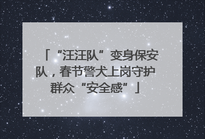 “汪汪队”变身保安队，春节警犬上岗守护群众“安全感”