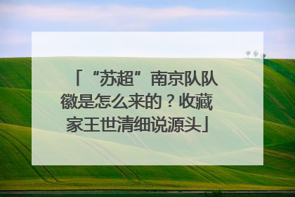 “苏超”南京队队徽是怎么来的？收藏家王世清细说源头