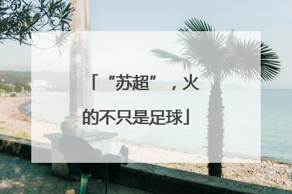“苏超”，火的不只是足球