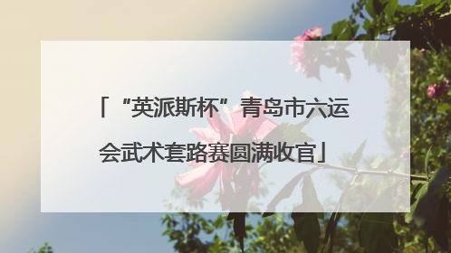 “英派斯杯”青岛市六运会武术套路赛圆满收官