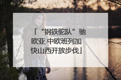“钢铁驼队”驰欧亚 中欧班列加快山西开放步伐