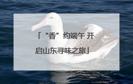 “香”约端午 开启山东寻味之旅