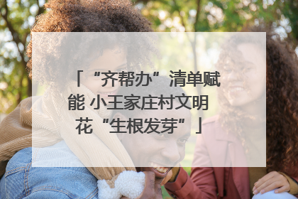 “齐帮办”清单赋能 小王家庄村文明花“生根发芽”